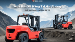 Mua xe nâng tại Hải Phòng – Dịch vụ chuyên nghiệp, giá tốt