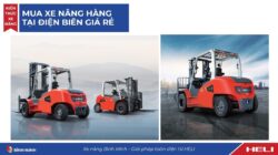 Mua xe nâng hàng tại Điện Biên giá rẻ