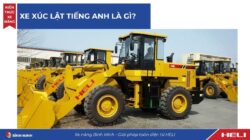 Xe xúc lật tiếng anh là gì?