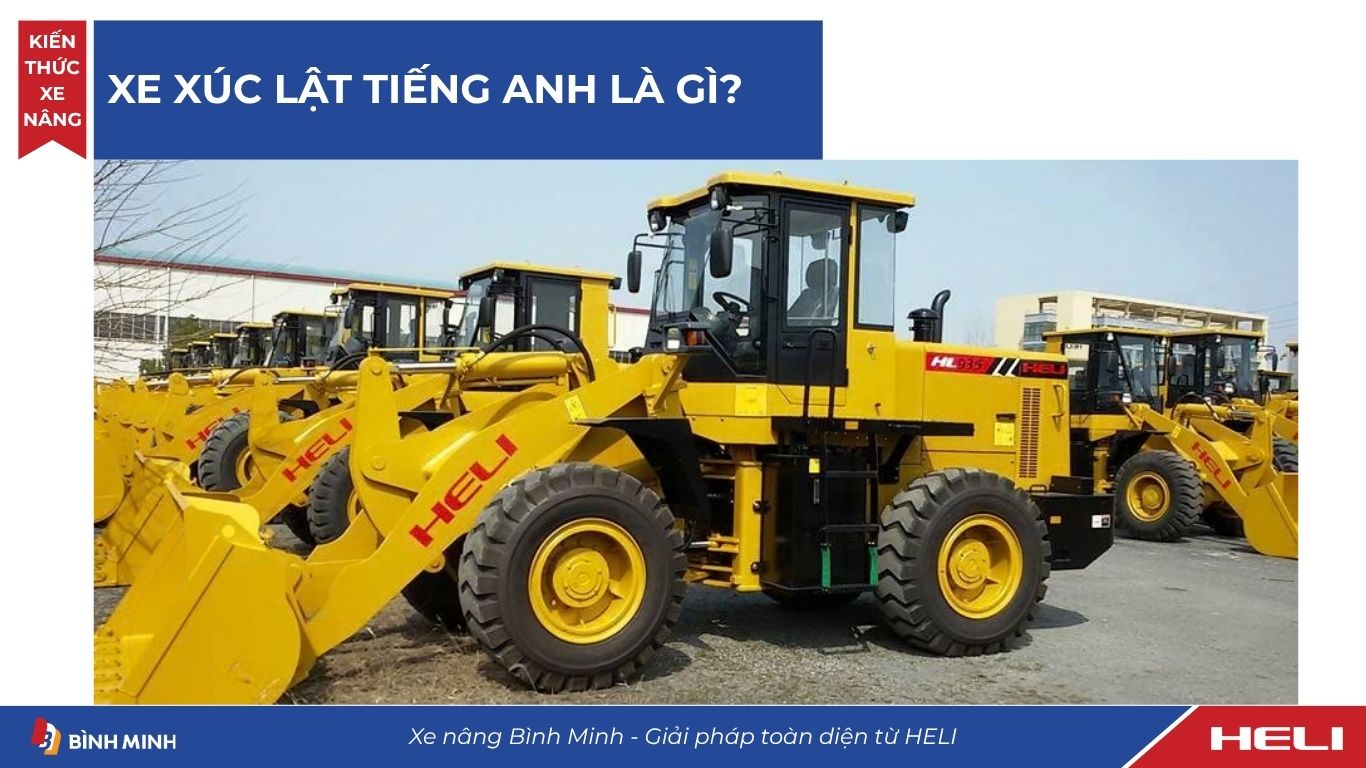 Xe xúc lật tiếng anh là gì?