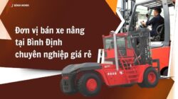 Đơn vị bán xe nâng tại Bình Định chuyên nghiệp giá rẻ