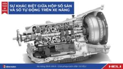 Sự khác biệt giữa hộp số sàn và số tự động trên xe nâng