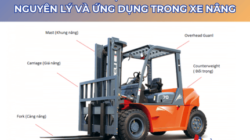 Đối Trọng Là Gì? Nguyên Lý và Ứng Dụng Trong Xe Nâng