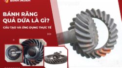 Bánh Răng Quả Dứa Là Gì? Cấu Tạo Và Ứng Dụng Thực Tế